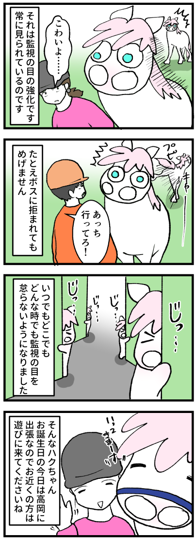 ハク11歳お誕生日2