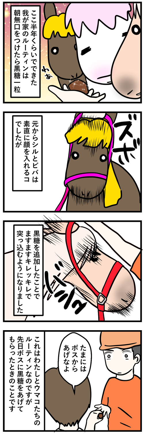 黒糖とボスとわたし1