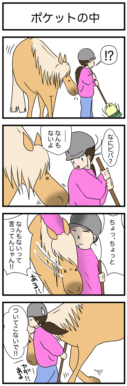 ぽっけ1