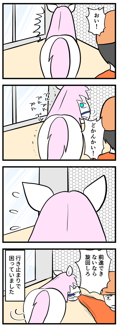 ハクちゃん行き止まり2