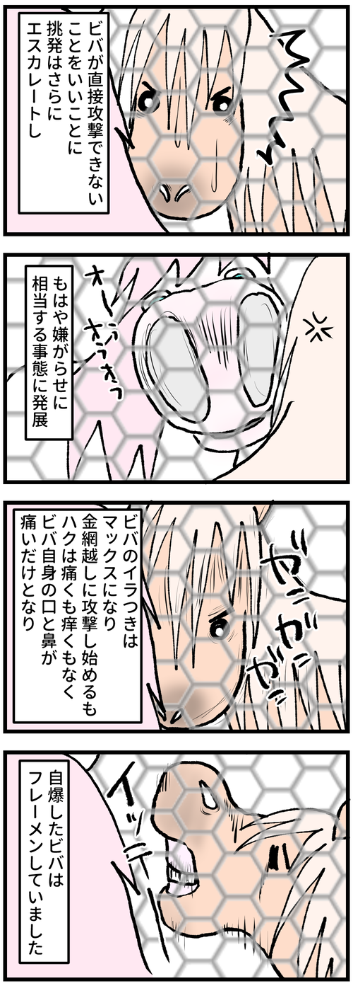 ハクの嫌がらせ2