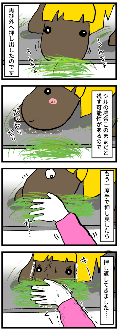 おしくらまんじゅう2