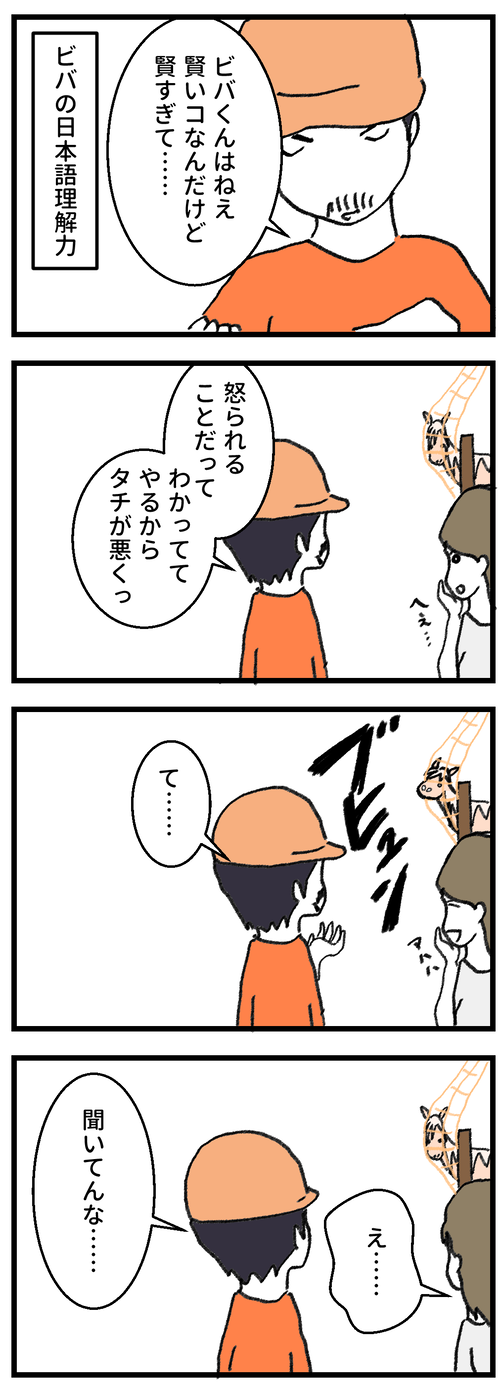231