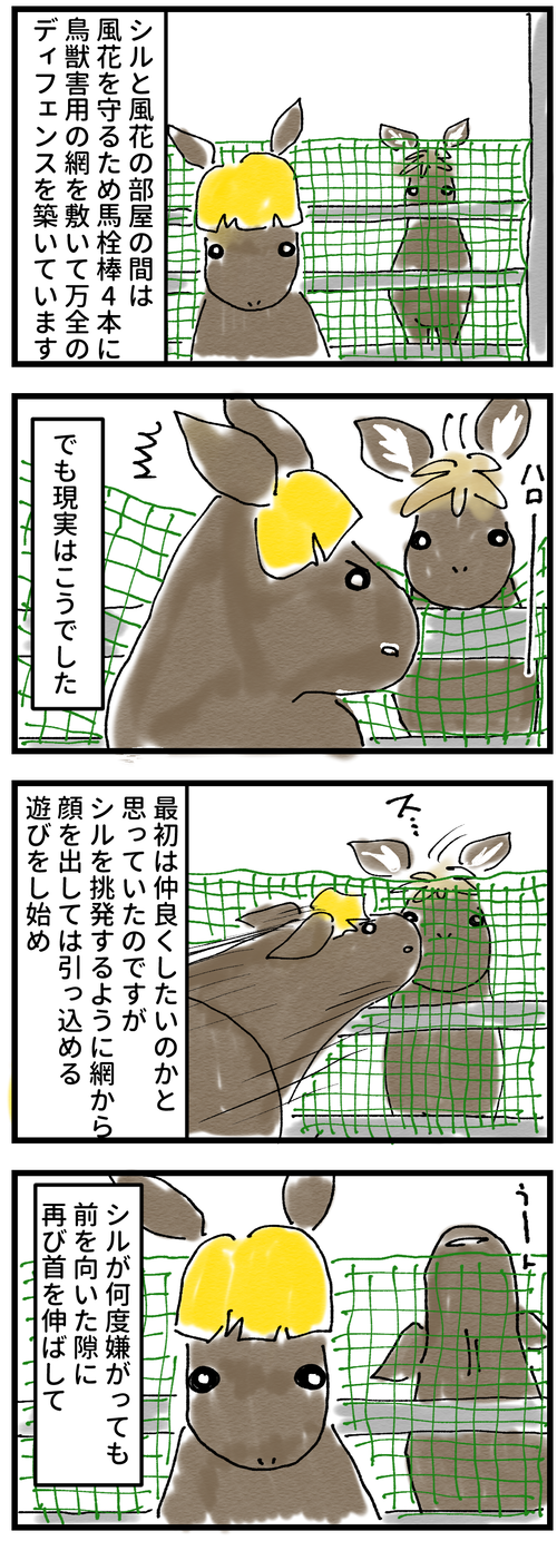 シルと風花の同居修正