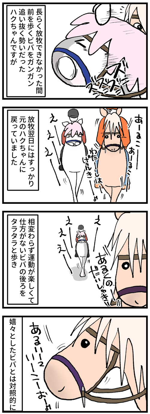 久しぶりの放牧②−1