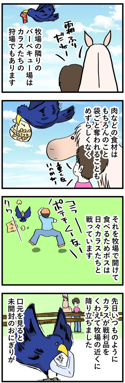 カラスとおにぎり1