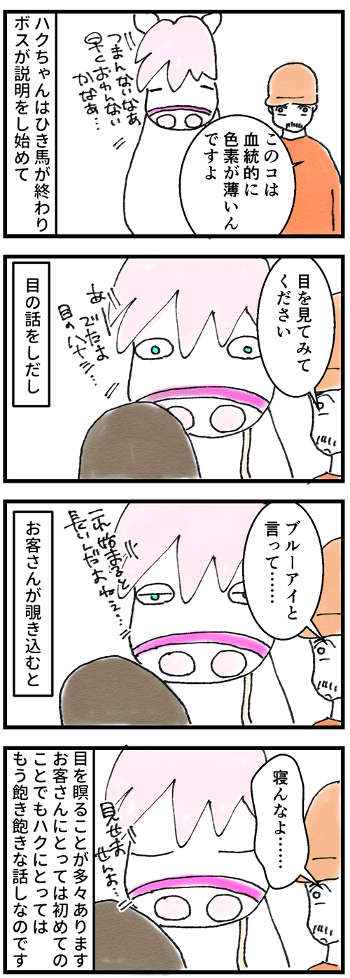 ホワイトタイガー1