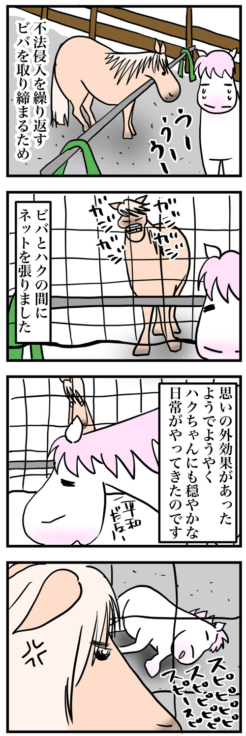 ビバとハクと綱1