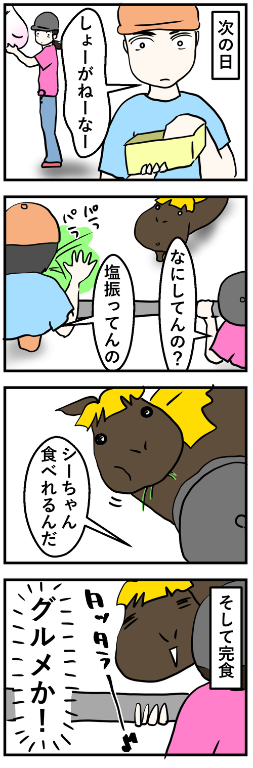 塩振る2