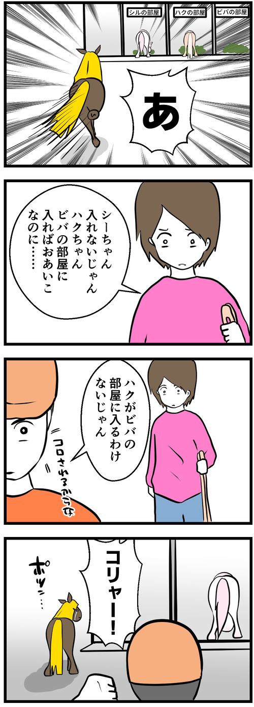 ビバがハクの部屋　ハクがシルの部屋1