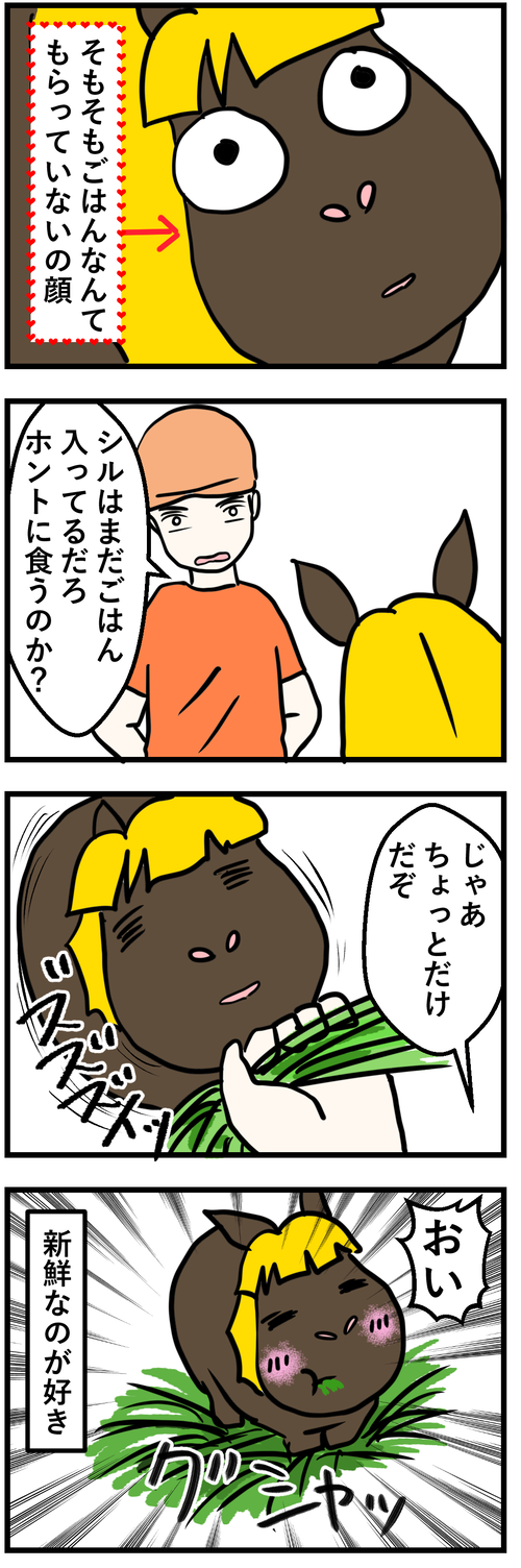 シルとおかわり2