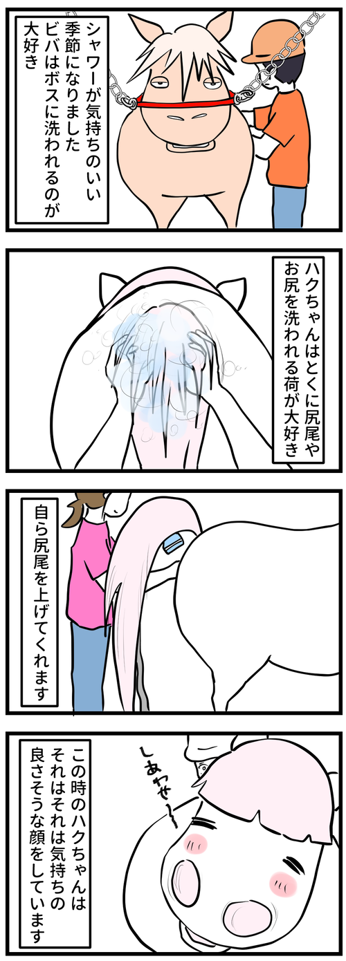 81