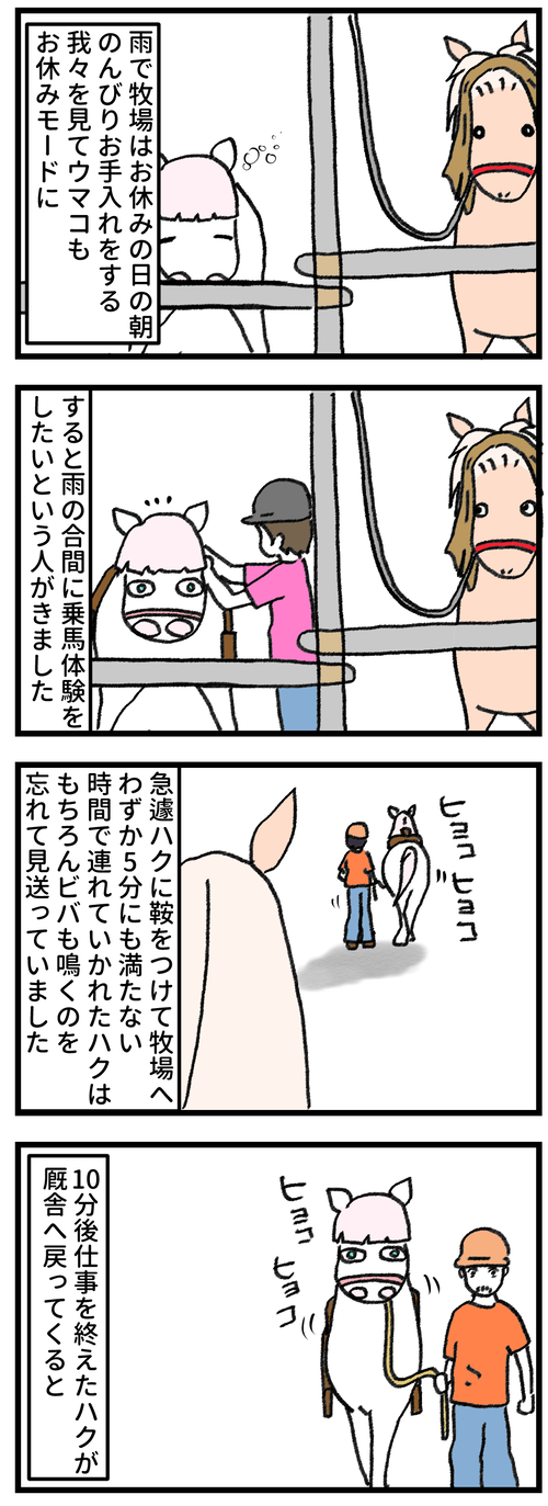 イレギュラー1