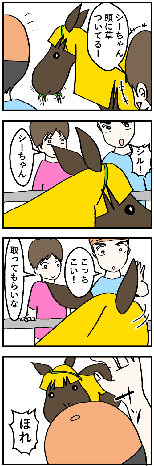 シル頭に草1