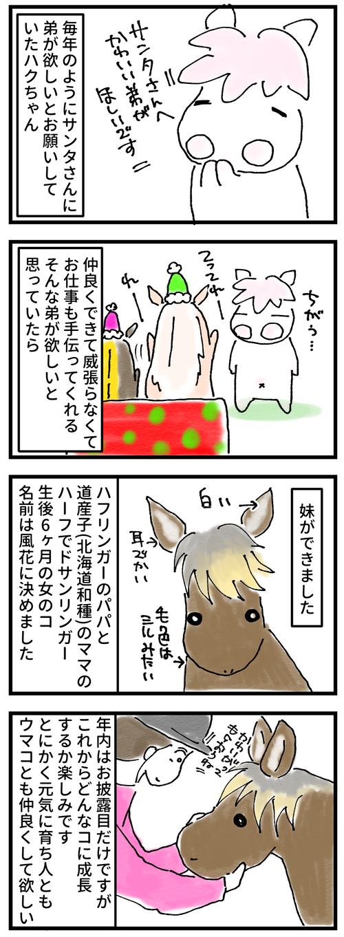 風花がやってきた1