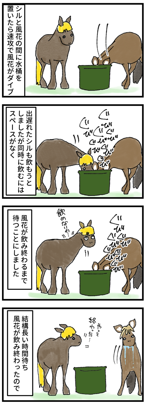 おっとりさん1