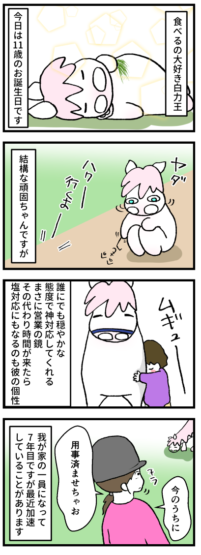 ハク11歳お誕生日1