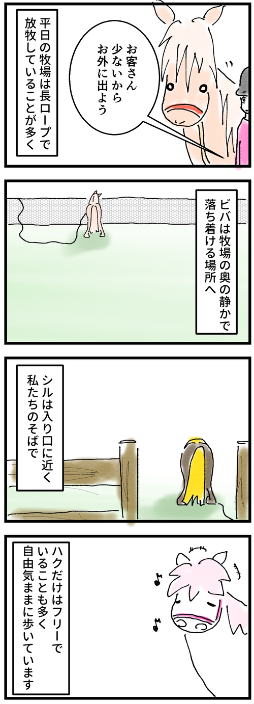 後追いの後追い2