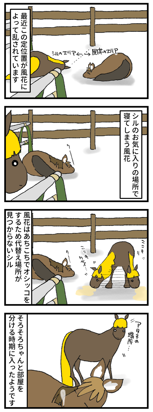 お姉ちゃんっこ1