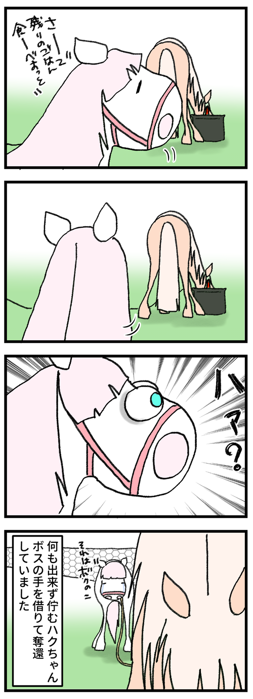 52