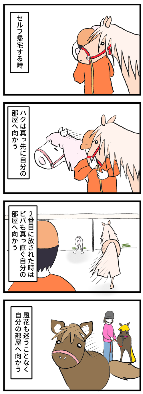 141