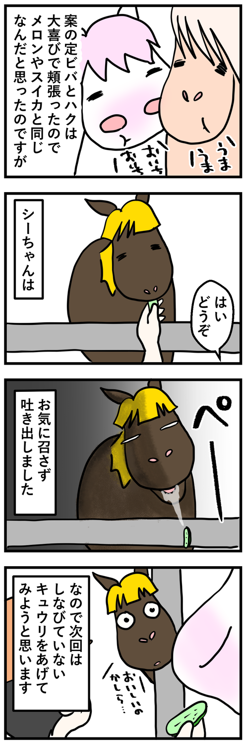 シルときゅうり2