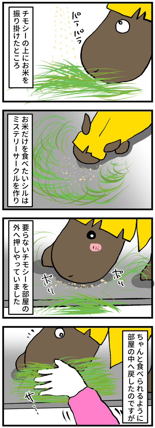 おしくらまんじゅう1