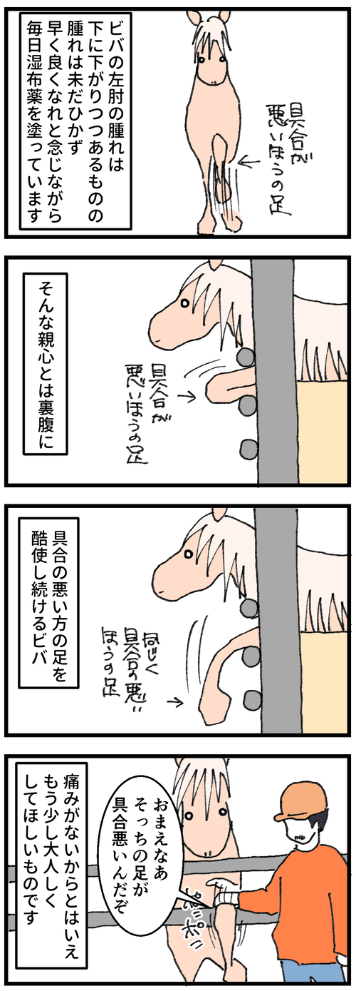 ビバの治療日誌1