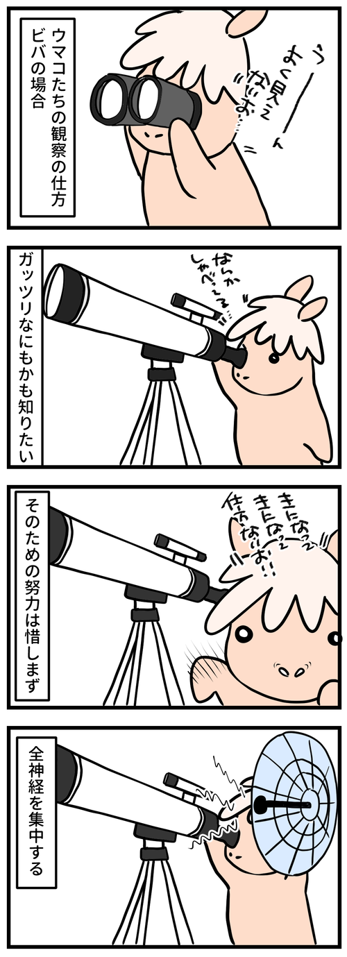 91