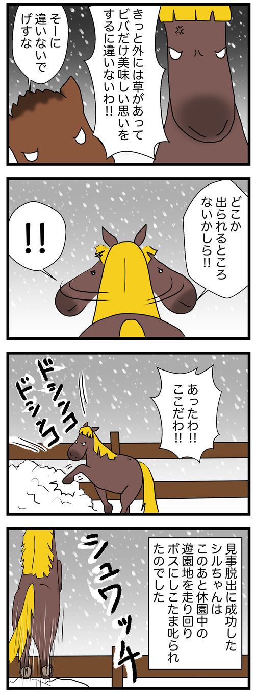 シルの跳躍2