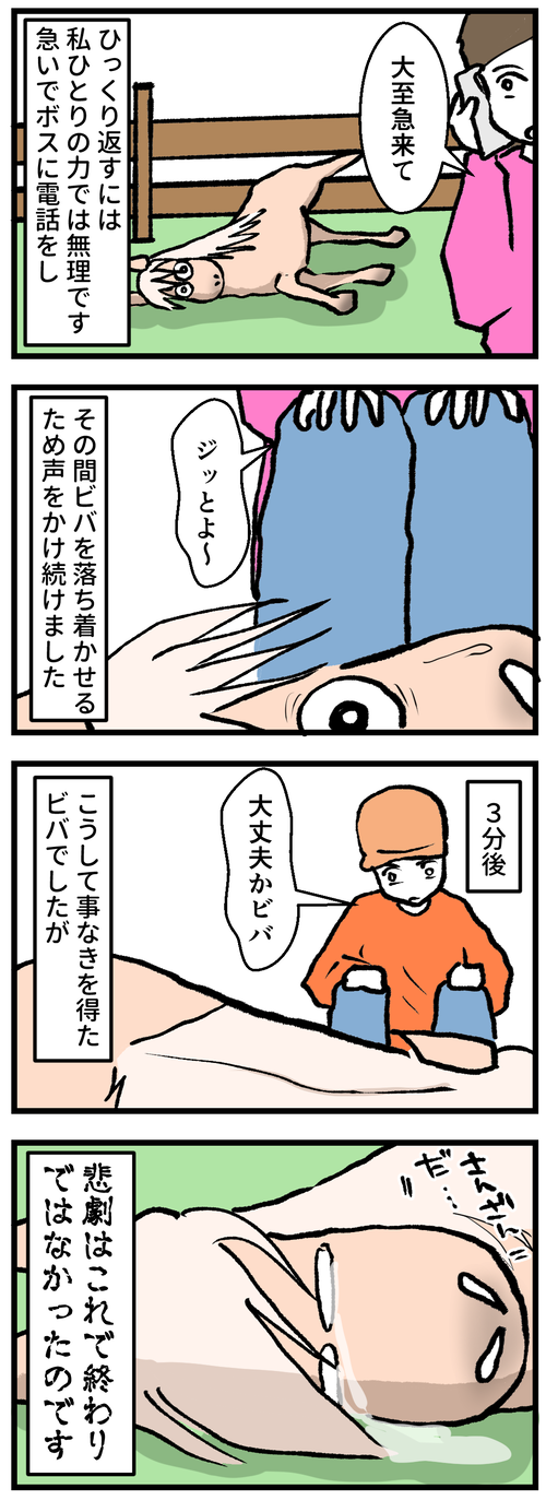 ビバに起きた悲劇2−2