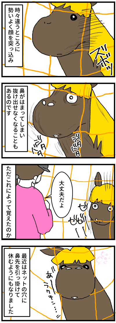 シル綱2