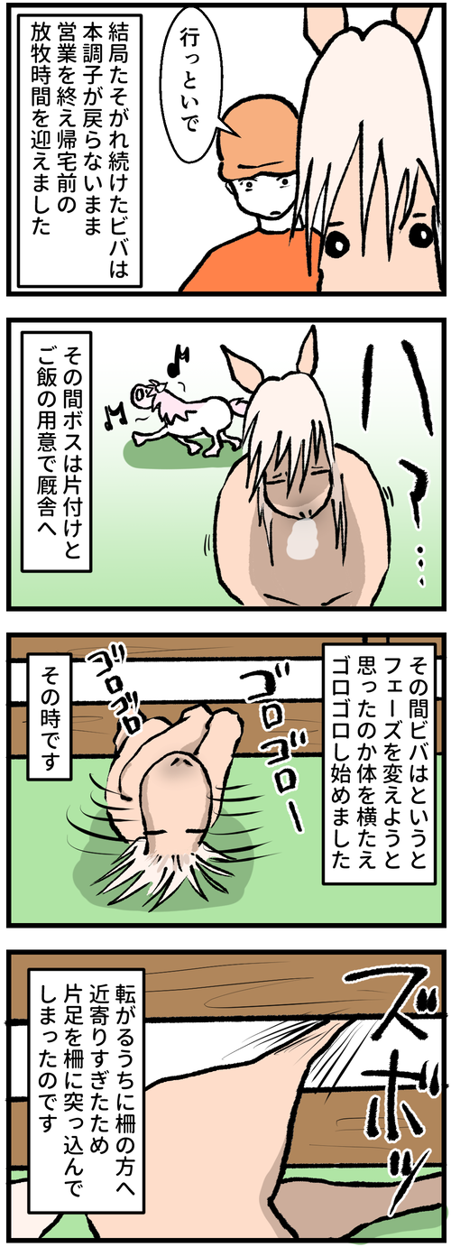 ビバに起きた悲劇2−1