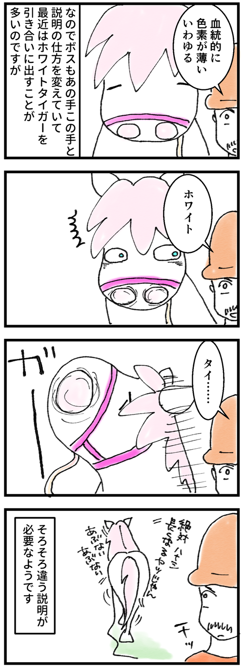 ホワイトタイガー2