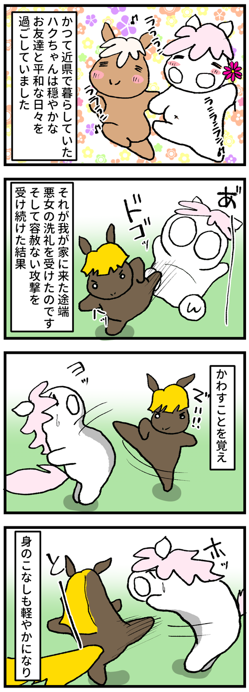 ハクちゃんの成長1