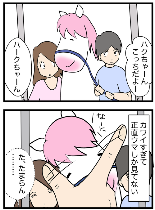 写真2