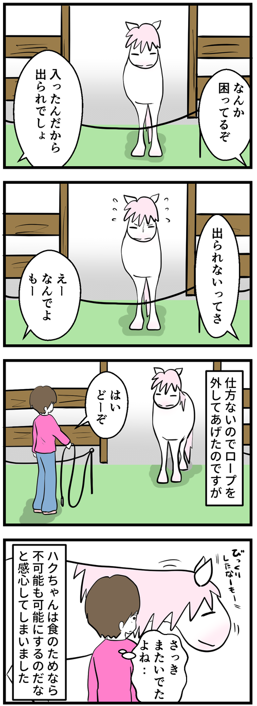 どうやって入ったの？2