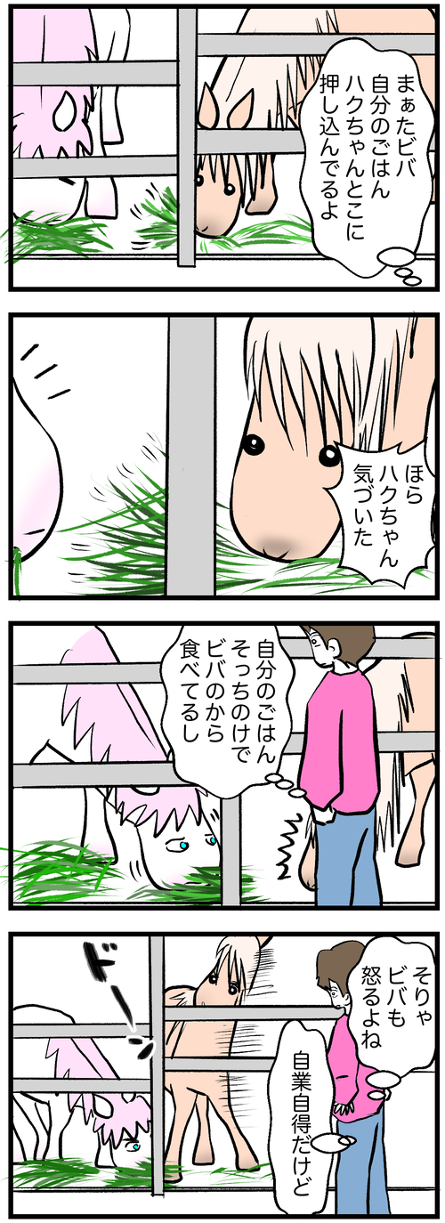 ビバごはんハクの方へ1