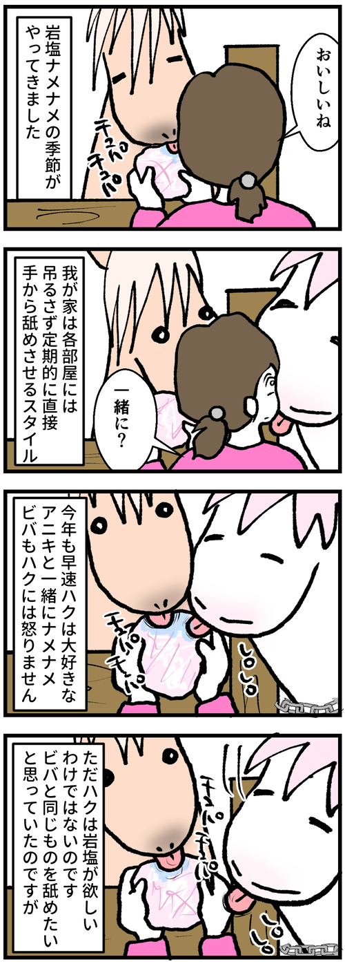 岩塩ナメナメ1