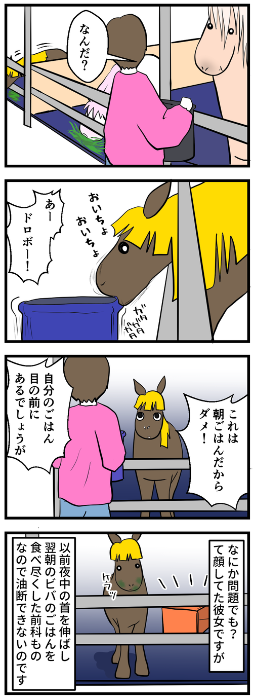 自分のごはんがあるでしょうが！2