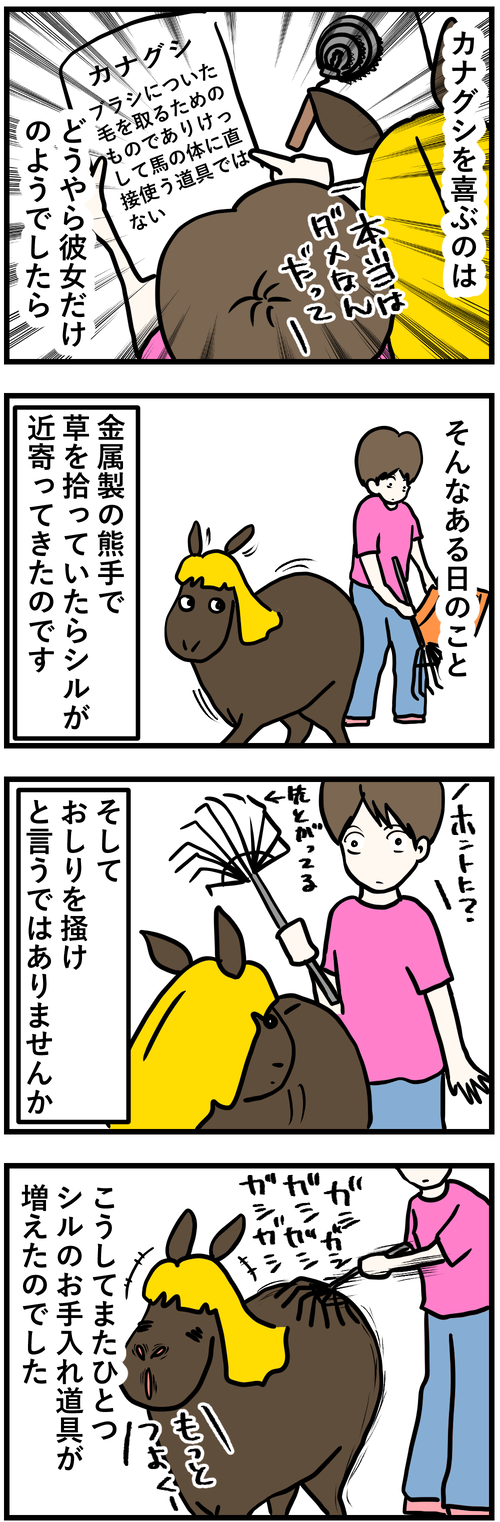 シルとカナグシ2