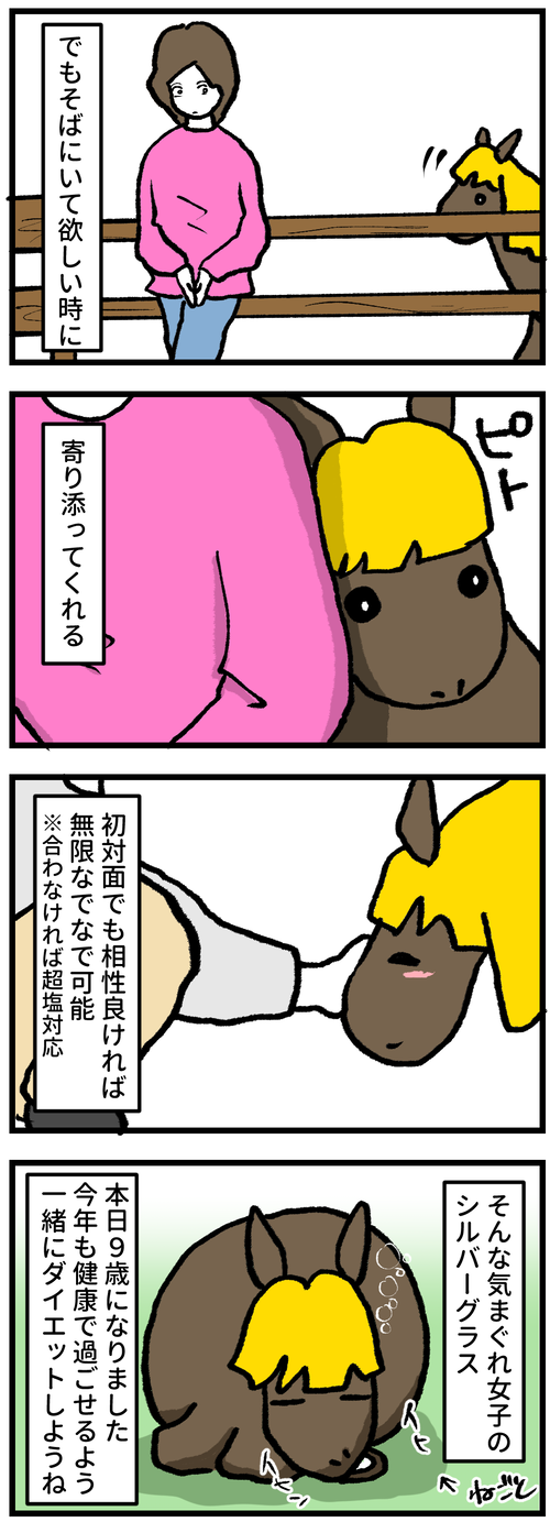 シル誕生日おめでとう2