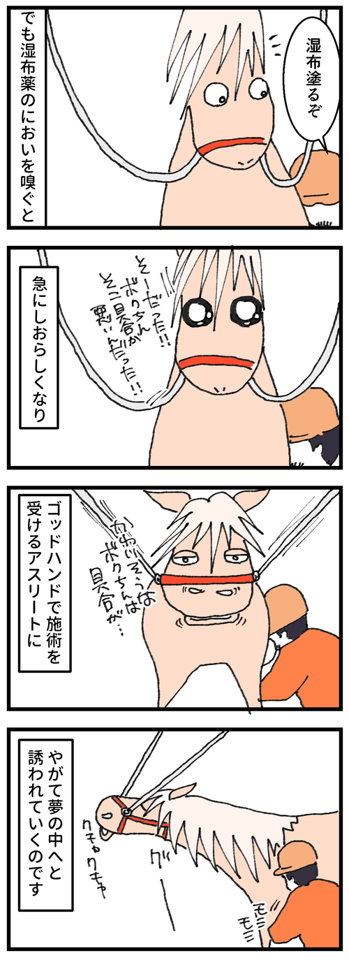 ビバの治療日誌2