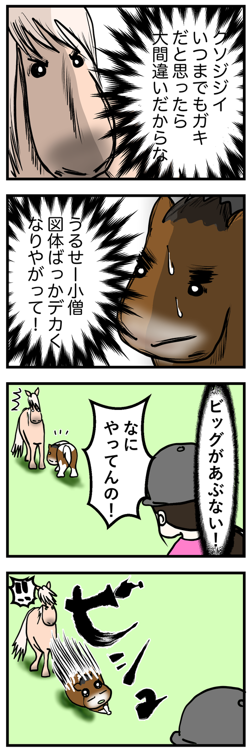 ビバビッグ喧嘩1