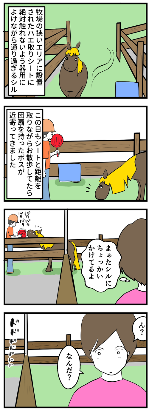 シルとハエ取りシート1