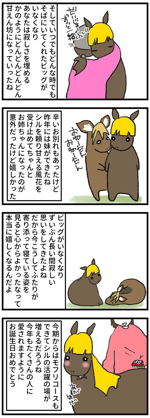 シル誕生日20252