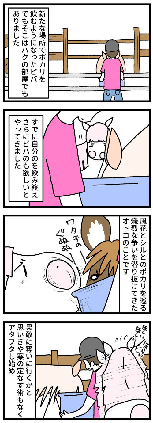 ハクポカリ1