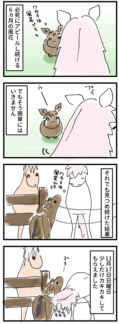 カキカキ記念日2