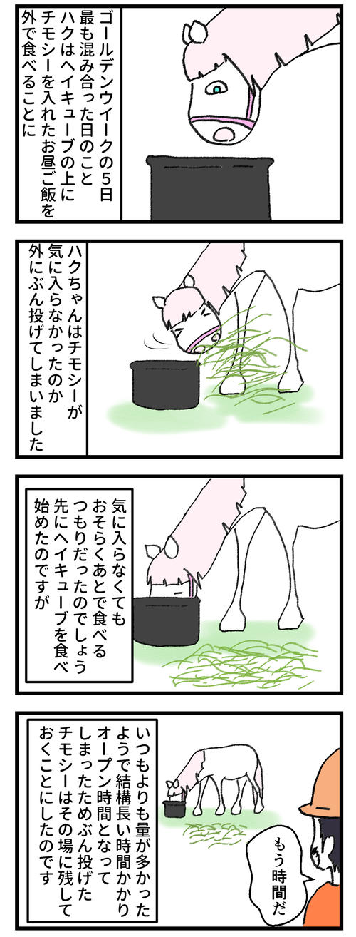 81