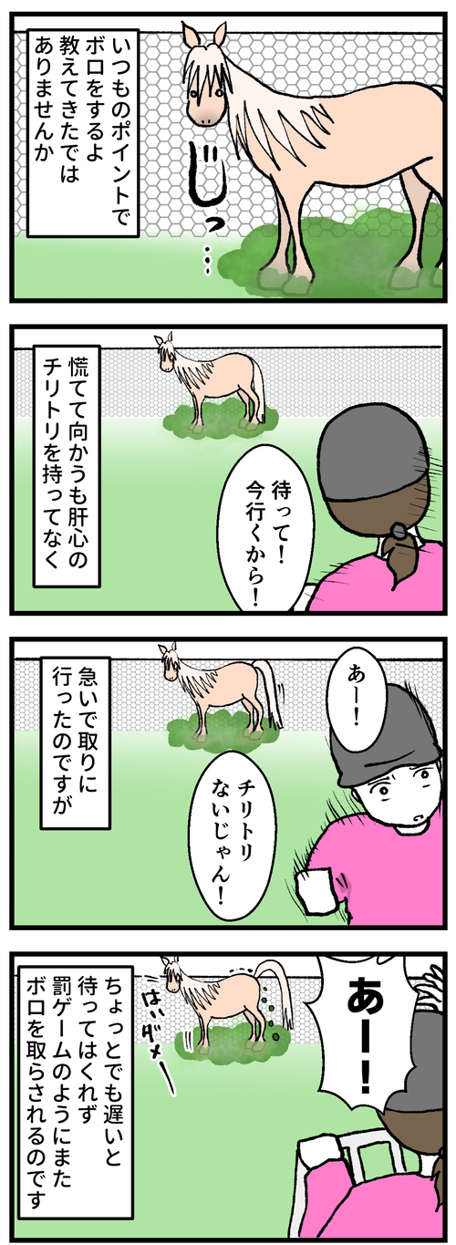 植え込みボロ2